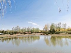 -东郊湿地公园
