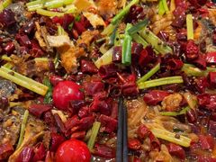 -老板恋上鱼(恒隆广场店)