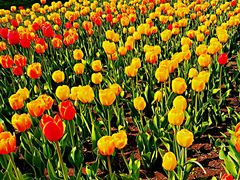 -长春公园(普阳街道)