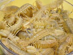 -渔傅·蓝海岸霞浦海鲜(正祥店)