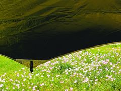 -汉长安城未央宫国家考古遗址公园