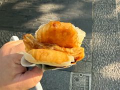 -孙奶奶葱包桧