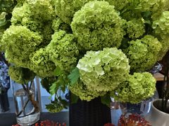 -双季花艺园艺市场(浦东店)