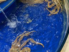 -海景壹号大酒店(滨湖店)