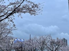 -龙美术馆(西岸馆)