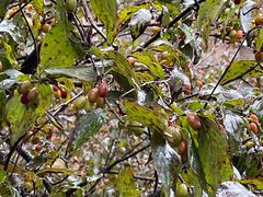 -洛阳白云山景区