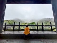 -大唐贡茶院