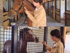 -北京群众马术培训基地