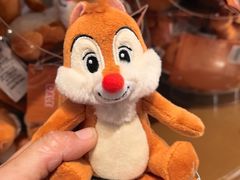 -巴黎迪士尼乐园