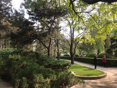 -团结湖公园