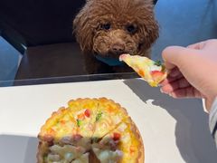 -百好乐宠物友好餐厅(朝外大街店)