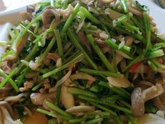 -大眼锅贴饺子(河西店)