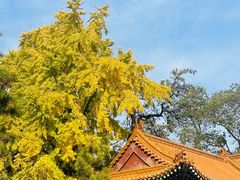 -戏马台景区