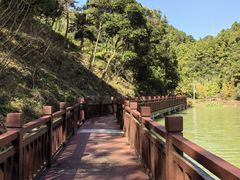 -广州白江湖森林公园