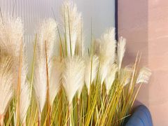 -马邦子·紫苏烤鱼(恒隆广场店)