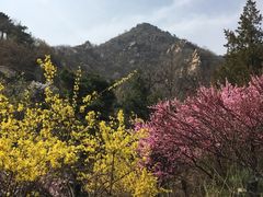 -北京鹫峰国家森林公园