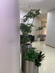 -AIST爱思特医疗美容医院