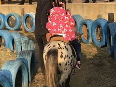 -武汉紫薇都市田园