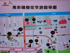 -高东镇樱花园