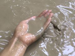 -100蛋泥浆浴