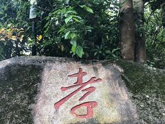 -罗三妹山