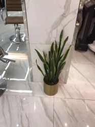 -潘多拉Hairsalon