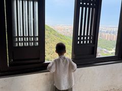 -杭州半山国家森林公园