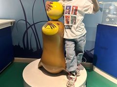 -烟台海昌鲸鲨海洋公园