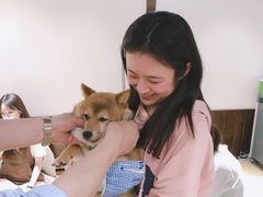 -逗柴咖啡屋·狗咖猫咖宠物桌游