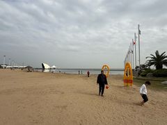 -碧海金沙
