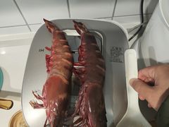 -蛇口市场
