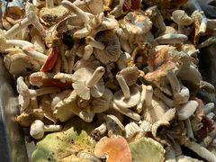 -兴福老面馆(寺路街店)