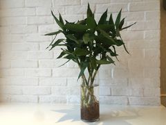 -必胜客(衡阳船山店PH店)