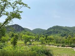 -缙云山景区
