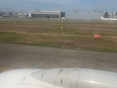 -上海虹桥国际机场