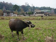-寨沙侗寨(侗族歌堂)