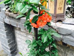 -印象小院•团建•玩水•休闲