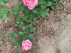 -森林公园(尖草坪区)