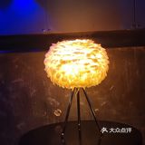 快乐夜晚不打烊