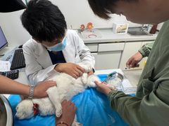-达爱动物医院·犬猫分区·CT·复杂眼科(远洋山水分院)