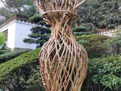 -南山植物园