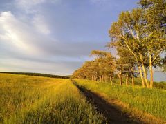 -塞罕坝国家级自然保护区