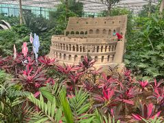 -南宫五洲植物乐园