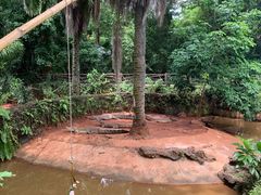 -海南热带野生动植物园