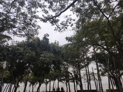 -深圳湾公园(南山区)