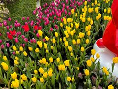 -成都市活水公园