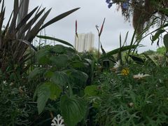 -人民公园(罗湖区)