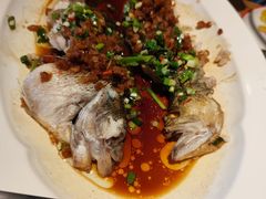 -新白鹿餐厅(银泰西湖文化广场店)