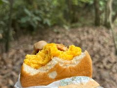 -午潮山国家森林公园