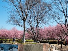 -白塘生态植物园